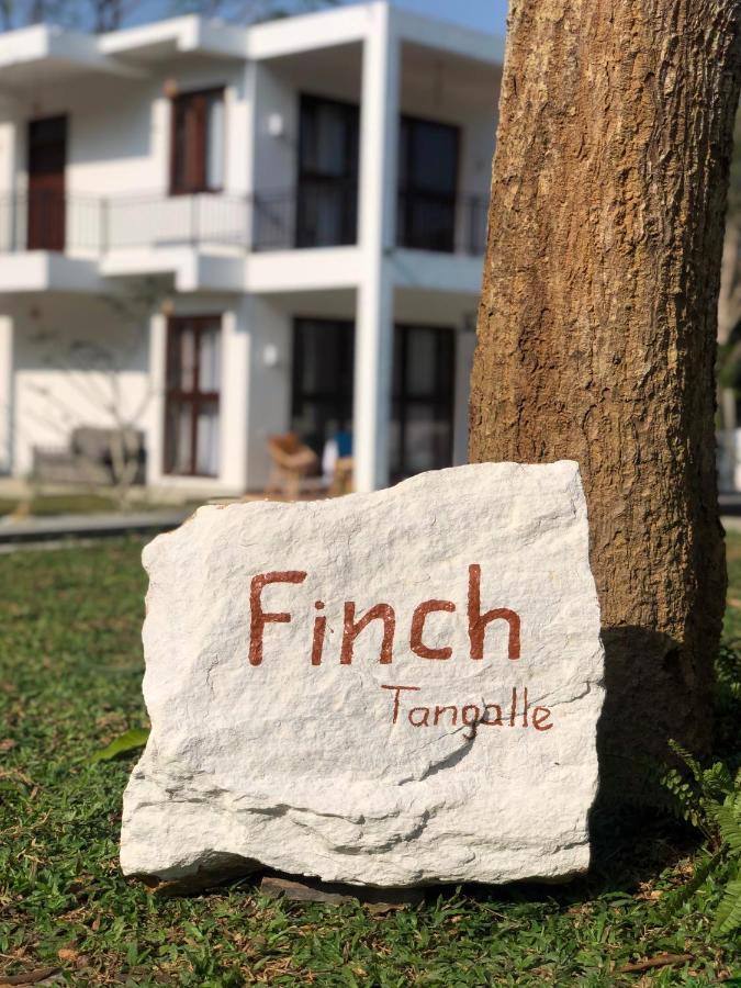 Finch Тангале Екстериор снимка